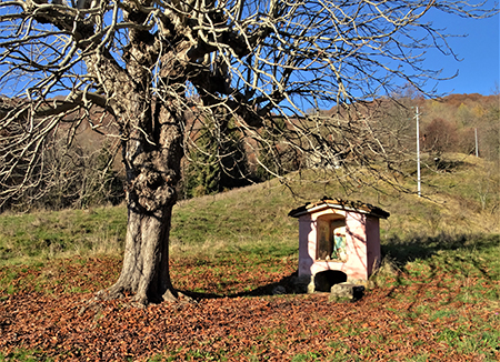 Monte Zucco (1232 m) ad anello in solitaria sui sentieri di casa (Zogno-300 m) 18nov闂????20 - FOTOGALLERY